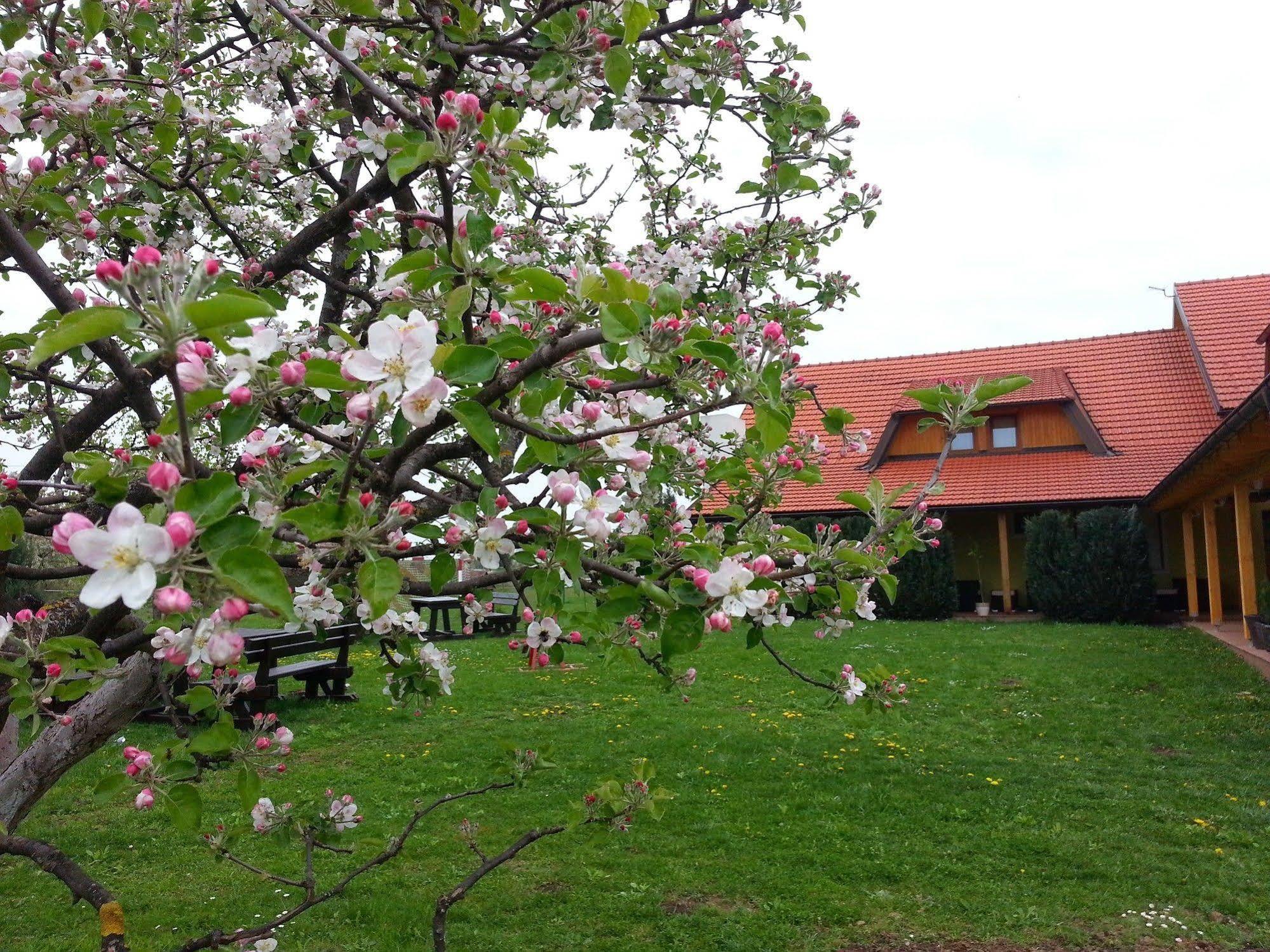 House Tina 3* Grabovac (Karlovac)