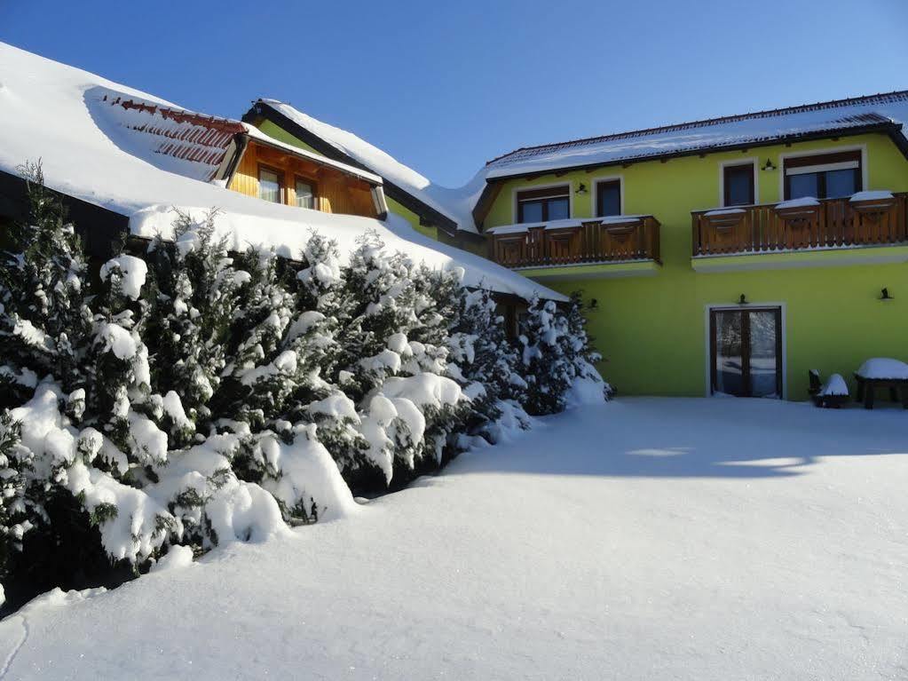 Hiša za goste House Tina